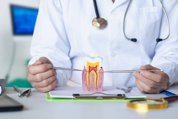Best Emergency Broken Tooth Repair in Linntown, PA